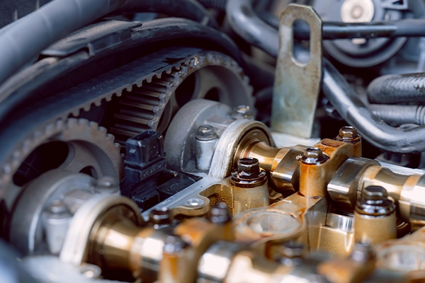 Close-up of timing belt connected to camshafts
